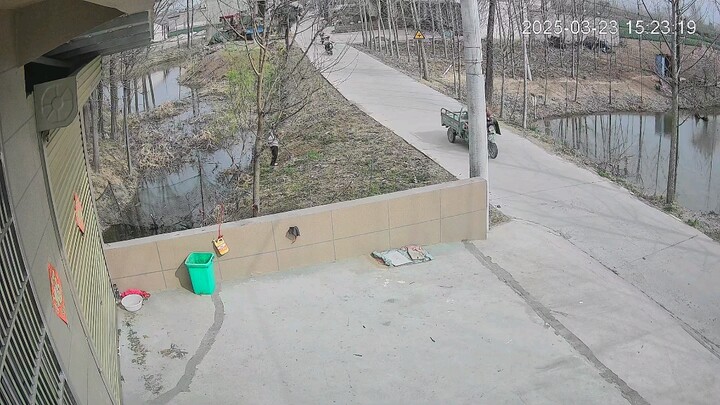 Kid Brother’s Rear-End Collision Incident