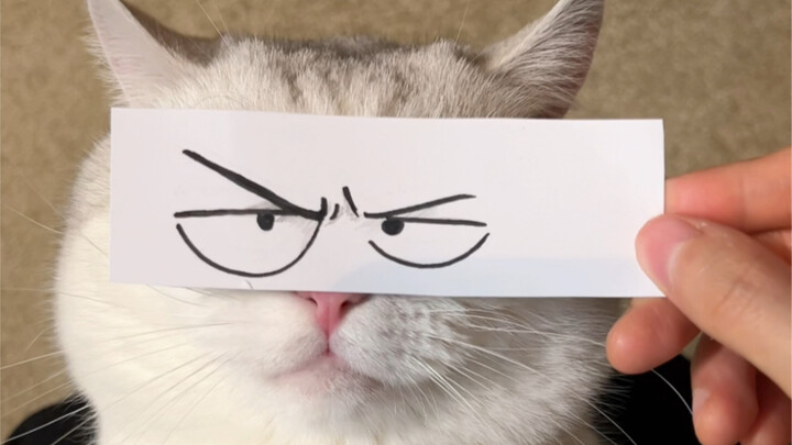 Emoji manual lagi nih! Kucing, aku terus-terusan beralih antara marah dan senang.