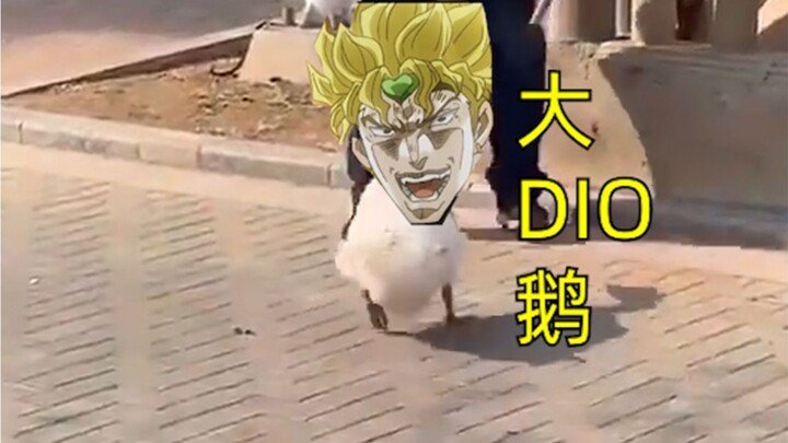 【JOJO】Big DIO Goose