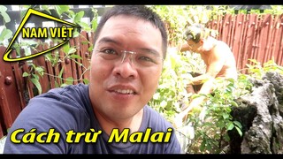 Yêu miền tây - Yêu luôn con ma cậu 7 kể - Nam Việt 1166