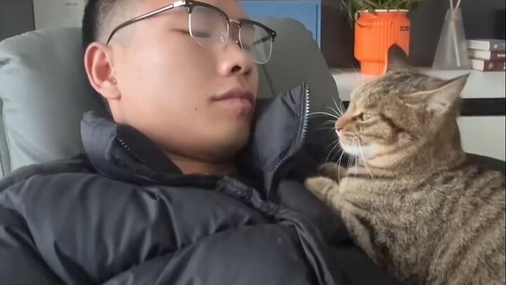 Mendadak ganas, ngapain aja digigit, siapa yang berani pelihara?