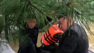 جنرال، بشأن مشكلة السفينة، أرجوك لا تجبرني على أكل البيض الأرجواني!