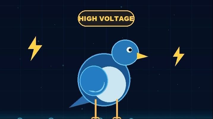 Why Don’t Birds Get Electrocuted on Power Lines? ⚡
