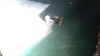 Swimming froglets