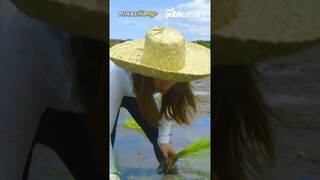 Kuya, mahihimatay nga po kasi ang palay! #shorts | Pinas Sarap