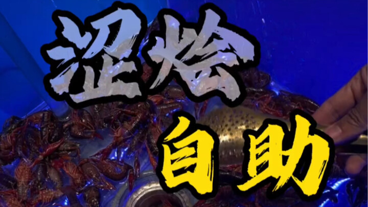 بوفيه المأكولات البحرية، تأكل منه بلا كلل أو تذمر، حتى الجمبري الصغير الفاسد لا تشم رائحته أصلًا!