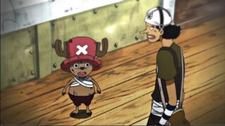 "Chopper tidak melindungi Merry dengan baik dan mengira Usopp akan menegurnya..."