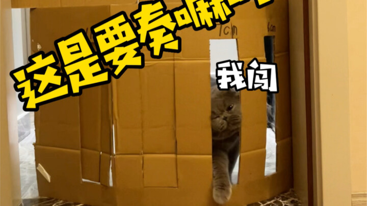 新一轮挑战，画风逐渐走偏场面一度失控