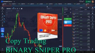 Copy Trading Pocket Option Trading Signals