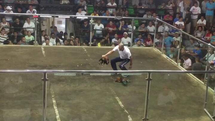 melsim black (philipgf win)