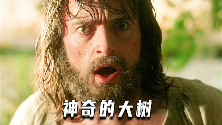 ต้นไม้ที่น่ามหัศจรรย์เช่นนี้