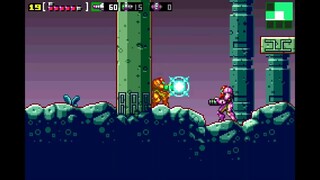 SA-X en Metroid Zero Mission