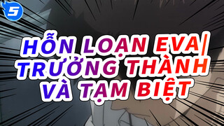 Hỗn Loạn EVA|【MAD】Neon Genesis Evangelion：Trưởng thành và tạm biệt_5