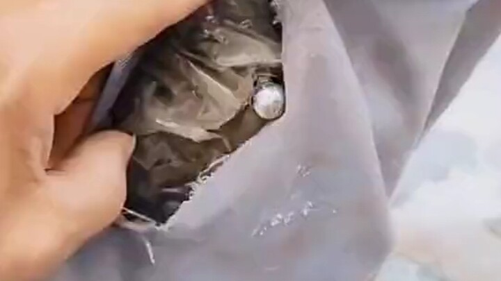 คุณเคยเห็นคนที่ชีวิตขมขื่นแล้วมันหนักหนาแค่ไหนไหม?