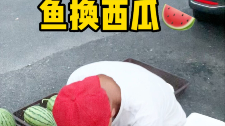 Đổi cá lấy dưa hấu, ông chủ Quảng Tây thật không tầm thường!