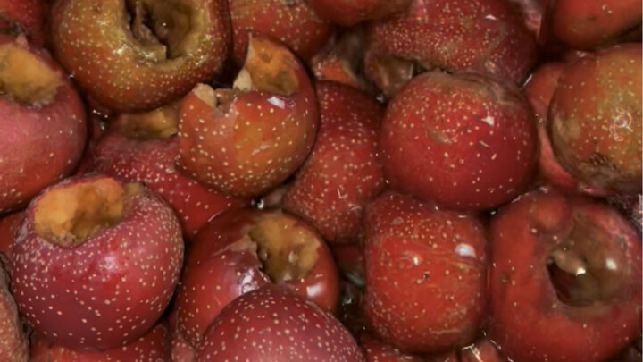 Additive-Free Guodanpi Is Seriously Delicious!