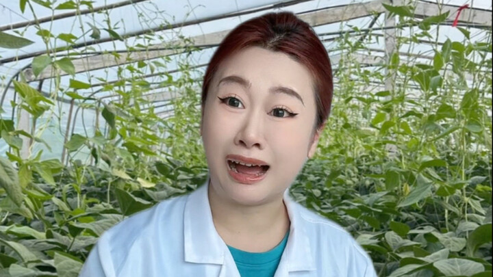 Bạn chẳng biết sao?