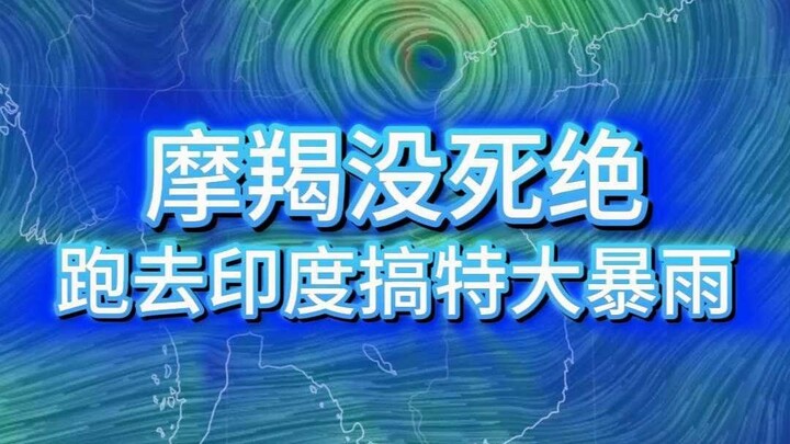 ราศีมังกรยังไม่สูญพันธุ์ หนีไปอินเดียสร้างฝนตกหนักถล่มใหญ่