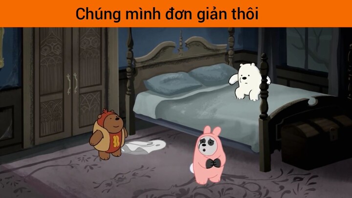 những chú gấu bị bắt cóc