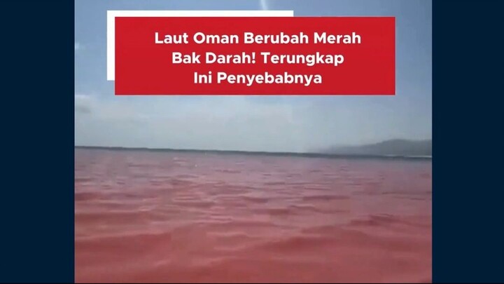 #breakingnews #fyppppp #Viral