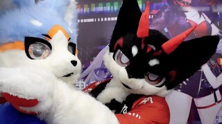 【FursuitDance】พุทที่รัก! ! ! ออร์คและหมาป่ากำลังกระโดดอย่างดุเดือด~ มาบิดเข้าด้วยกัน! 【Xiaojie X หยุ