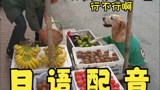 Xiu Gou dan Xiu Mi membeli jeruk, tapi dalam bahasa Jepang