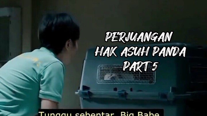 PERJUANGAN HAK ASUH PANDA PART 5