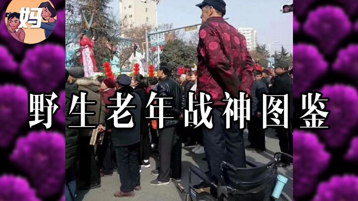 [Wild Human Encyclopedia] The Elder God of War is the Real MVP!