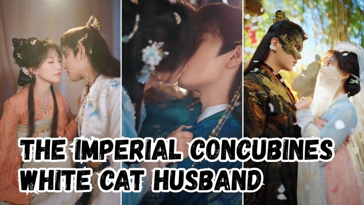 The Imperial Concubines White Cat Husband