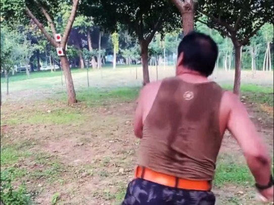Defeat the target!