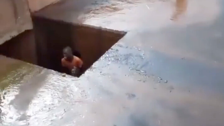 ที่แท้ฝรั่งหัวเราะก็ฮ่าๆๆ เหมือนกันนะ ฉันนึกว่า….