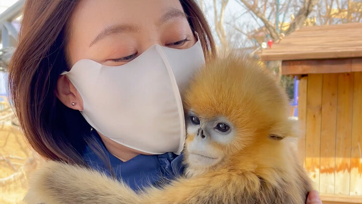 ฮุยฮุยไม่พูดอะไร ได้แต่ทำตัวอ้อนแอ้นแนบชิด