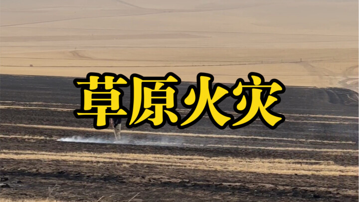 Our local Grassland Law clearly stipulates: Except for emergency rescue vehicles and motorized vehic