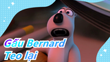 Gấu Bernard| Teo lại sau khi bị giựt điện?