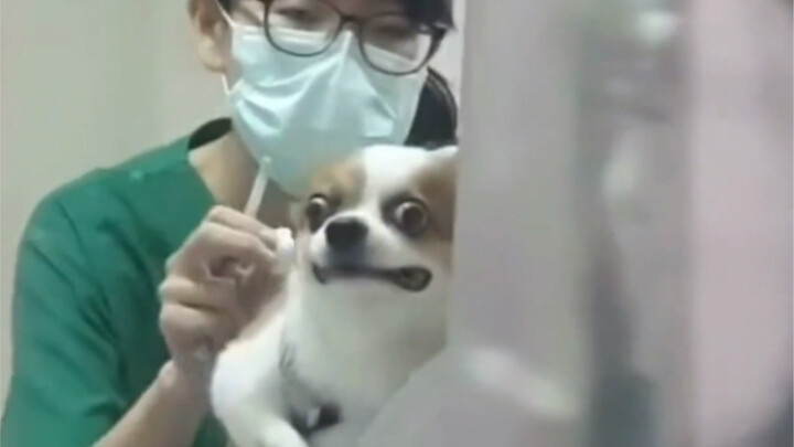 "Should Not Be Dead"