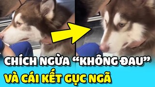 💥Nghe lời Sen "CHÍCH THUỐC KHÔNG ĐAU" bé Alaska nhận cái kết MUỐN XĨU 😂 | TIN GIẢI TRÍ