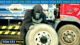 Khỉ Đột Siêu Bá Đạo Biết Lừa Tiền Ngân Hàng Còn Biết Cả Sửa Xe | Review phim | T91 Vlog