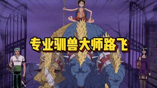 Motivasi Luffy menjinakkan hewan: Entah dia ingin memakannya atau ingin menjadi pasangannya.Inti dar