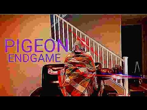 Pigeon: Endgame