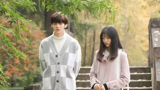 Sweet Tai Chi π¦πΊπ¦ Episode 07 π¦πΊπ¦ English subtitles