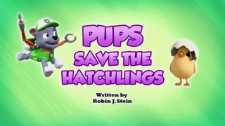 Paw patrol Musim 9 Episode 8 Bahasa indonesia