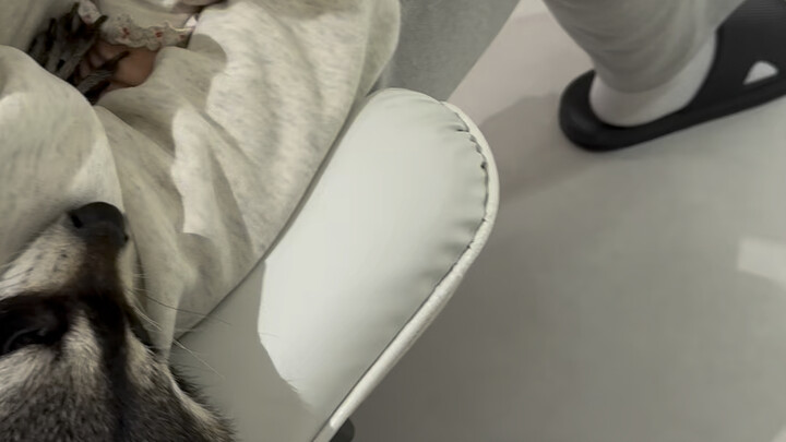 Xiaoxiao's Reaction When She Meets a Human Baby for the First Time