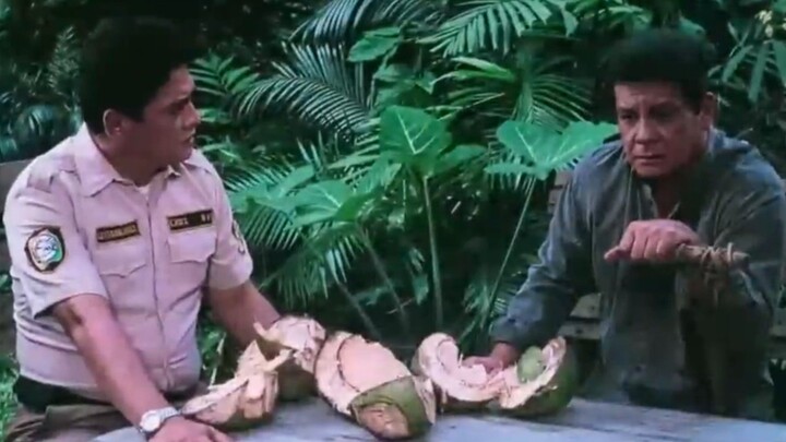 MINSAN PA: KAHIT KUNTING PAGTINGIN PART 2 - FPJ & SHARON CUNETA (1995)