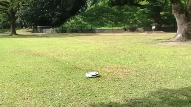 Giống hệt chú chó bị nhốt lâu ngày, cuối cùng được thả ra thì tung tăng chạy nhảy.