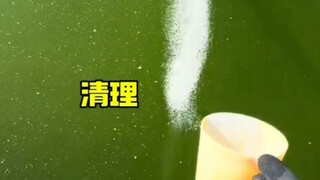 关于游泳池的清理
