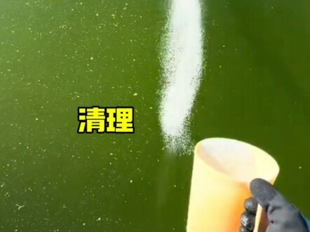 关于游泳池的清理