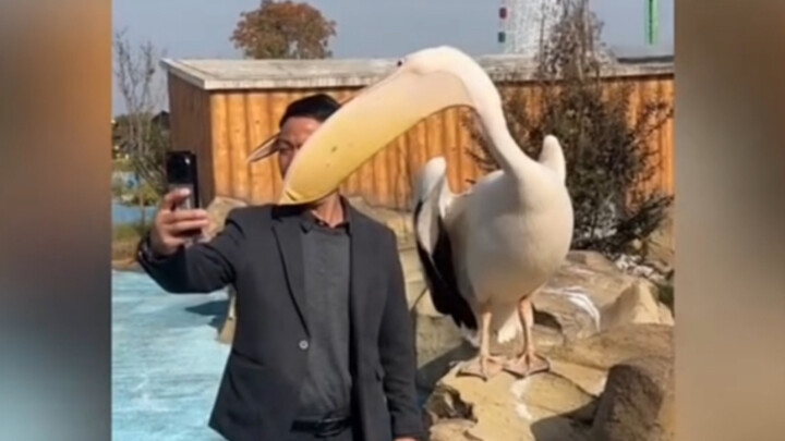 [شوف قدراتك!]