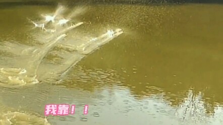 This is the ultimate art of skipping stones.