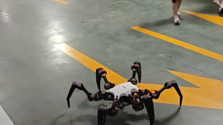 Accidentally scared the little one to tears, six-legged robot test 20240621doob