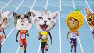 The cat sand sculpture competition turned out to be a competition between pigs and monkeys?